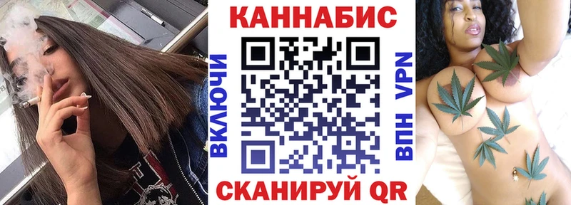 Канабис гибрид  Павловская 